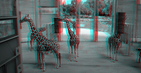 52209468290_a7b93f6b82_c – kopija 570.jpg