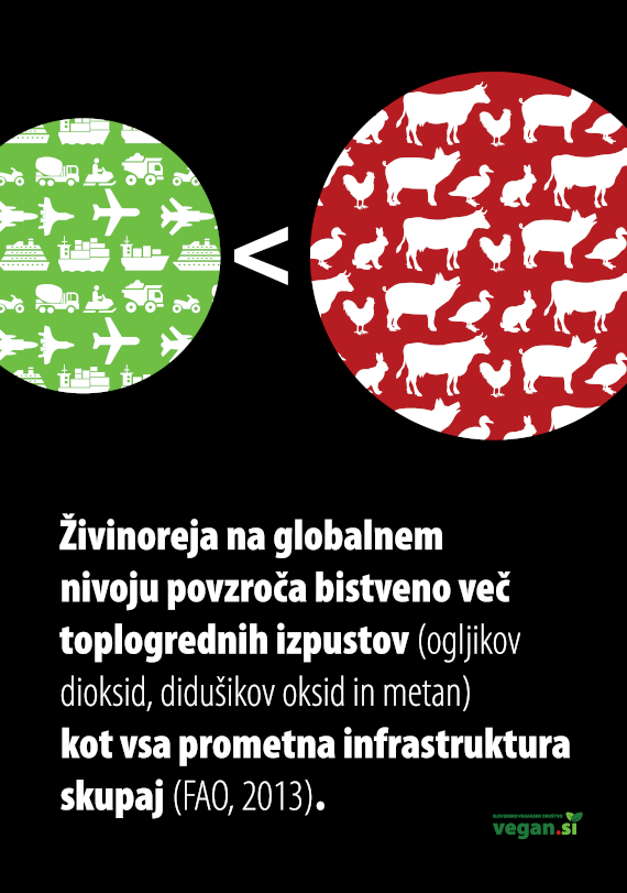 570 SubArt_vpliv prehrane 20232.jpg