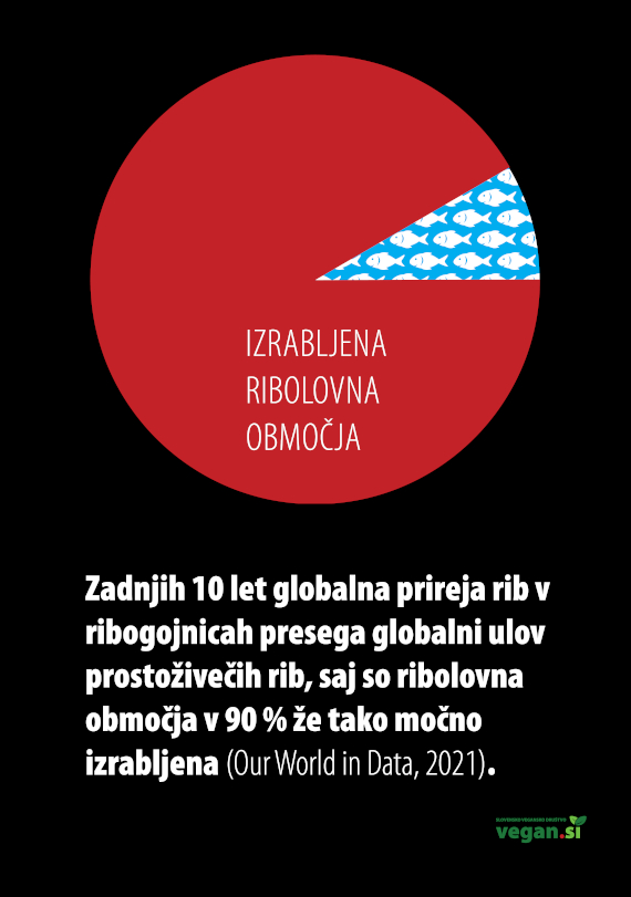 570 SubArt_vpliv prehrane 20234.jpg