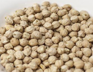 Čičerika cicerika.jpg