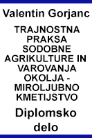 Diplomsko delo - Valentin Gorjanc diplomska_gorjanc-1.jpg