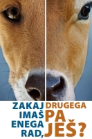 Letak Zakaj imaš enega rad knjiznica-zakaj.jpg