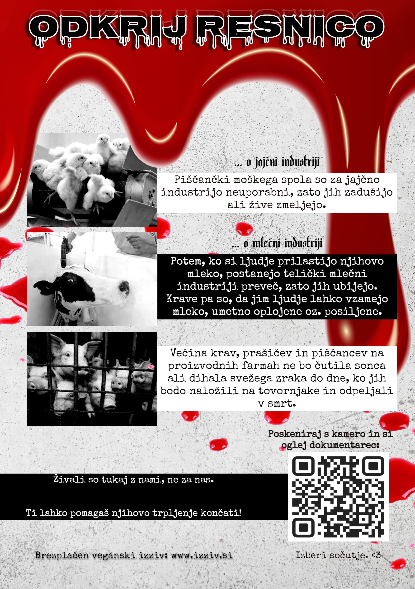 Odkrij resnico Odkrij resnico